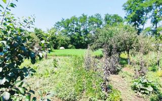 Casă de vânzare, zona Al. I. Cuza, Iași - Poză 7