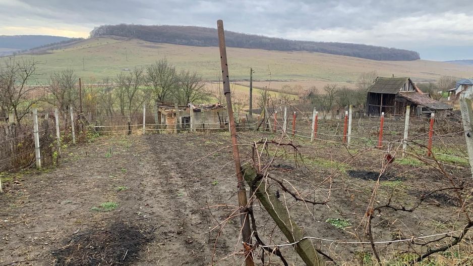 Casa de vanzare, Exclusivitate - Poză 3