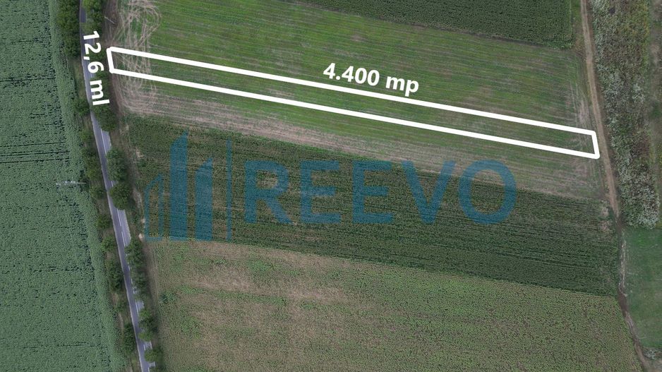 Teren de 4.400 mp Racova - Poză 1