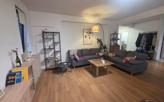 3 camere cu curte 100 mp | Aviației – Băneasa | Parter în vilă - Poză 2