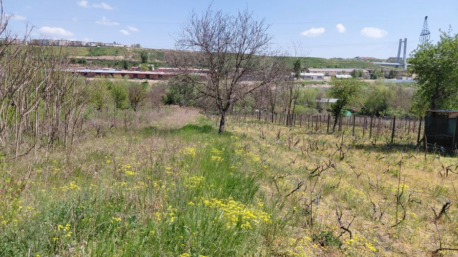 Teren intravilan 3.250 mp în Filești – Ideal pentru casă sau investiție! - Poză 3