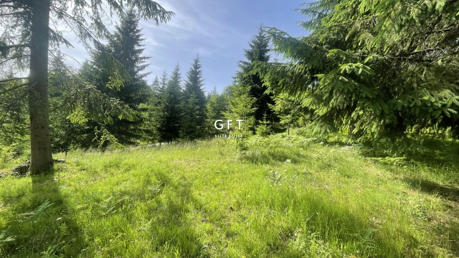 Teren de vanzare Colibita ! EXCLUSIVITATE! - Poză 2