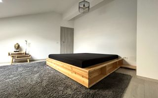 Apartament 3 camere Duplex - zona Calea Calarasilor/Hala Traian - Poză 13