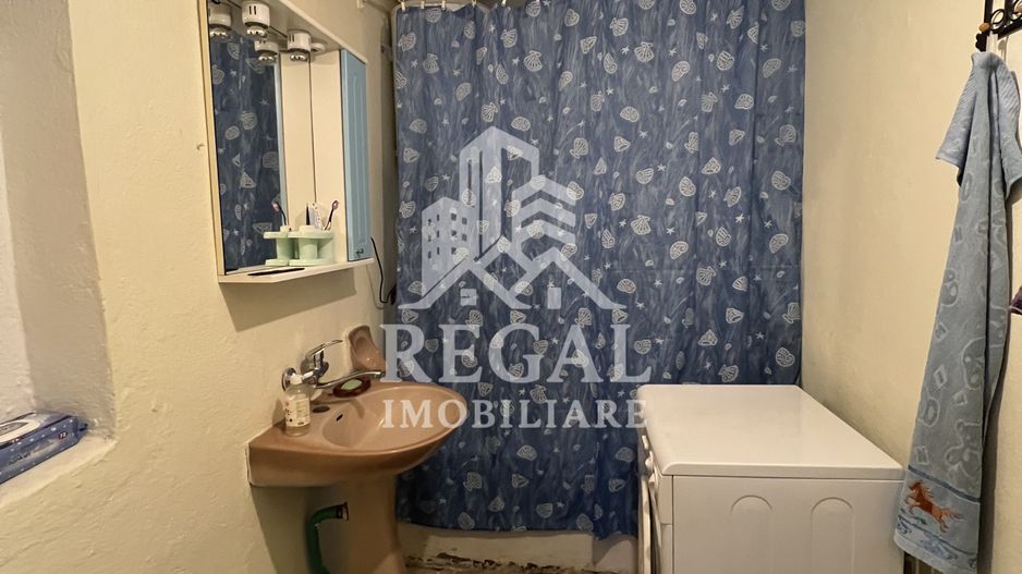 Două case individuale de vânzare în Teliuc –ideale pentru două familii - Poză 8