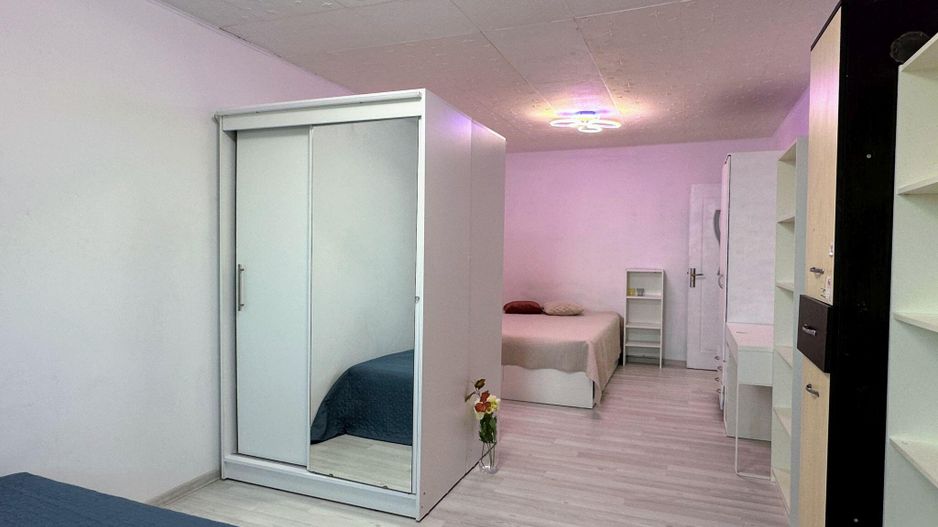Fizicienilor - Lacramioarei, 3 camere 67 mp, pod 40 mp, modernizat - Poză 8