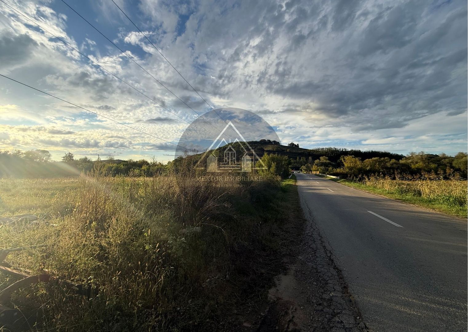 Teren extravilan Alma - Poză 5