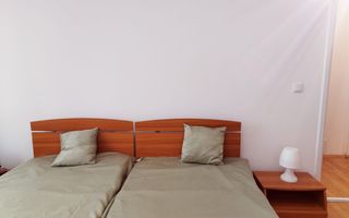 2 Camere Open space, Gruia, Casa, Parcare, Stadionul CFR,Cetatuie - Poză 2