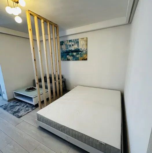 Garsonieră Iancului – bloc reabilitat, PET FRIENDLY,  9 min METROU - Poză 3