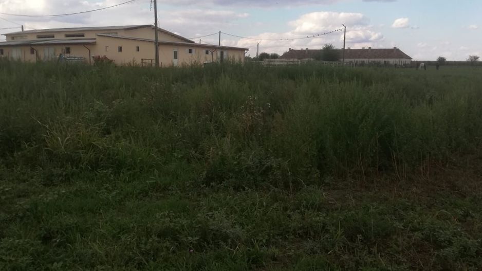 Ferma de vânzare - Poză 14