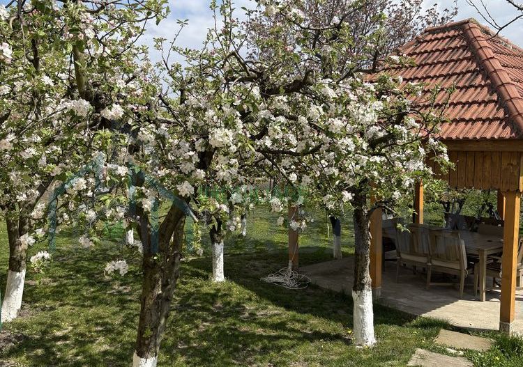 Casă de vânzare, 4 camere, Miroslava - 355.000 EUR - Poză 6