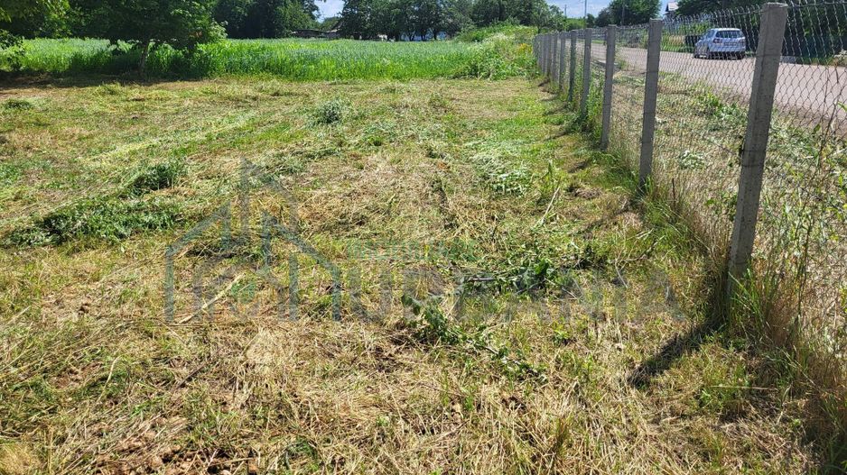 Casă bătrânească cu 5200 mp teren în Damileni - Botoșani - Poză 3