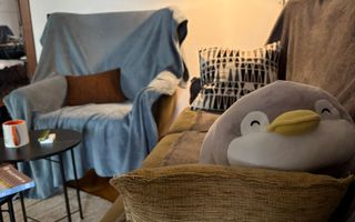 Pet friendly Calea Victoriei, 3 camere + terasa + boxa - Poză 3