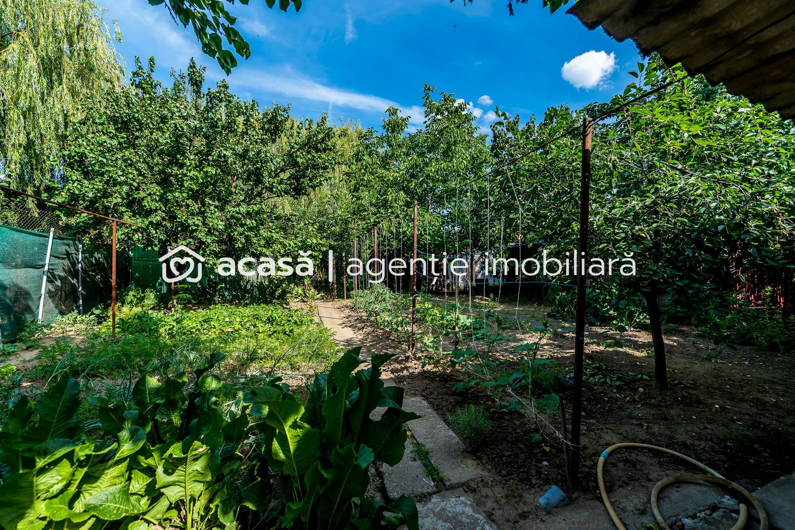 Casa 3 camere, bucatarie si baie, in zona centrala din Chisineu-Cris - Poză 8
