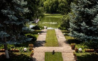 Oportunitate Rară – Vilă pe Malul Lacului Snagov | Piscina | Ponton | COMISION 0 - Poză 3