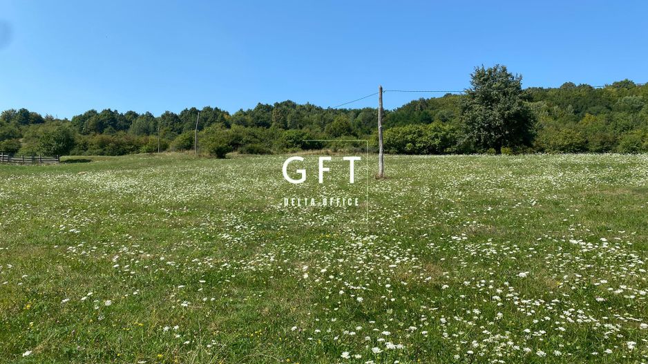 Teren Extravilan 11.000mp-Unirea-Valea Slatinitei - Poză 1