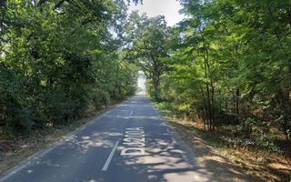 Teren 10,000mp Afumati | Padure | Soseaua Petrachioaia - Poză 5