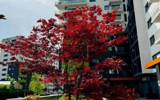 Apartament 2 camere open space în Oradea - Poză 20