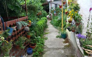 brasadas.com vinde casa 3 cam 135mp zona ULTRACENTRALA. - Poză 1