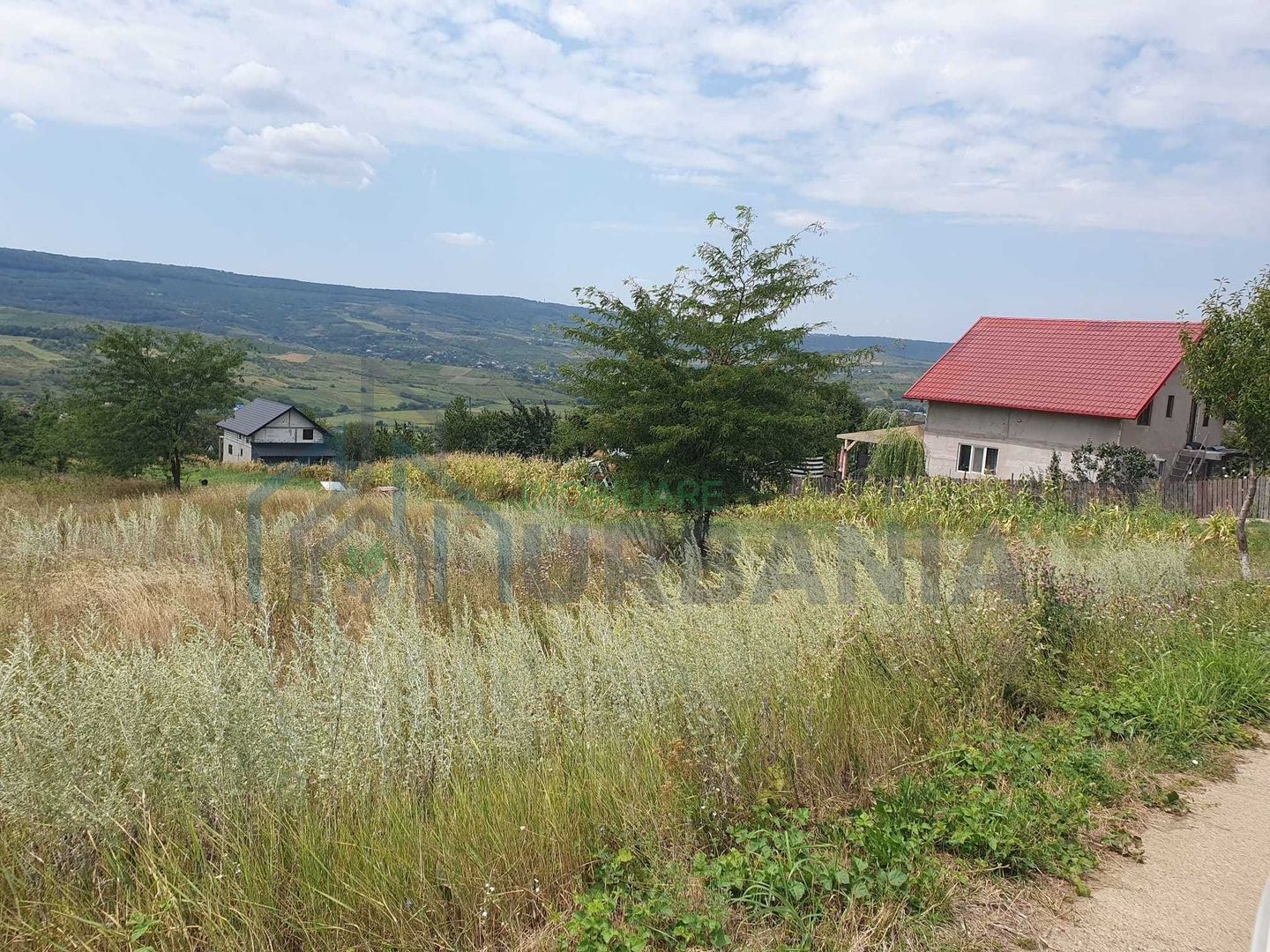 Teren intravilan construibil, 1.219 mp, zona Chicirea/Tomești, 25 euro/mp - Poză 6