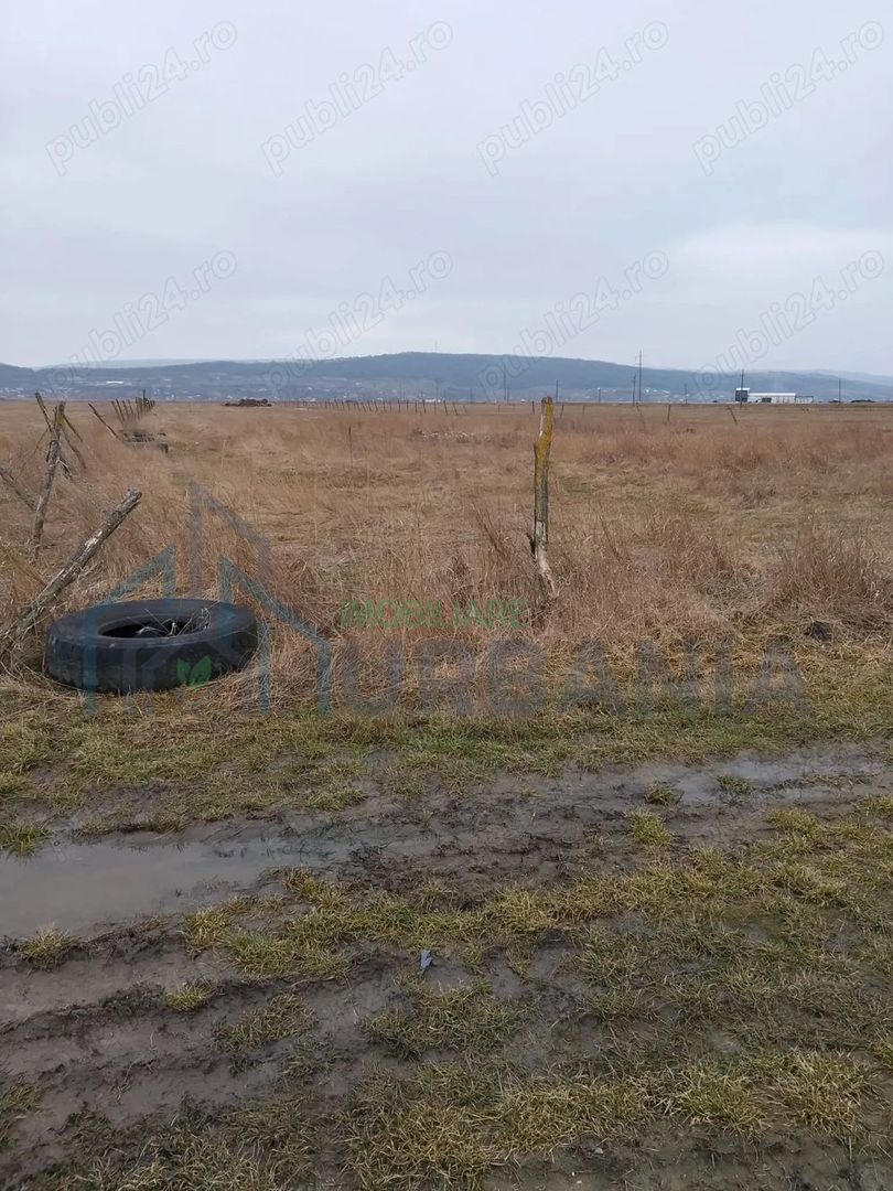 Teren intravilan Tutora Iași - Poză 2