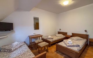 Hotel / Restaurant | 26 camere | 65 locuri | Selimbar - Poză 47