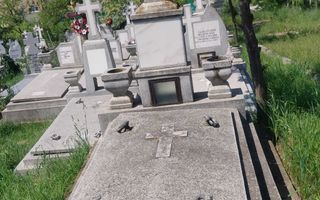Loc de veci cu criptă, Cimitirul Sfânta Treime, Parcela 18, Păcurari, Iași - Poză 1