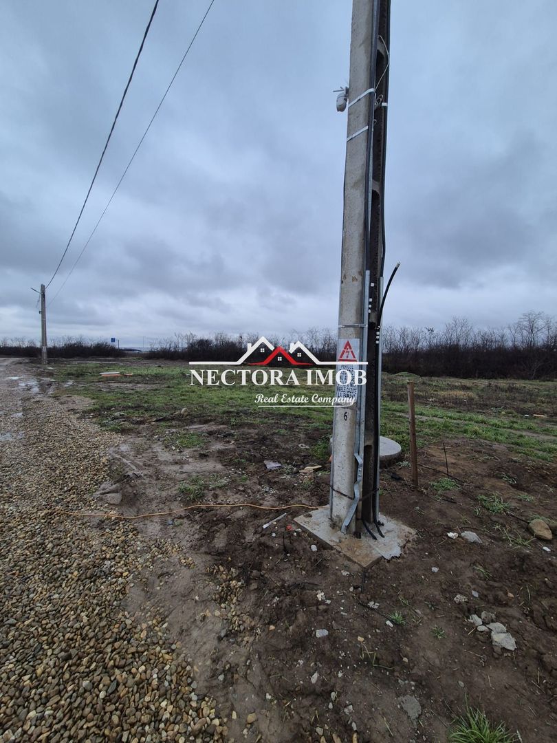 NECTORA IMOB-Teren Intravilan 501 mp, cu front 19ml, Nojorid,Utilitati - Poză 4