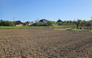 Teren intravilan Cetariu 5000 mp - Poză 1