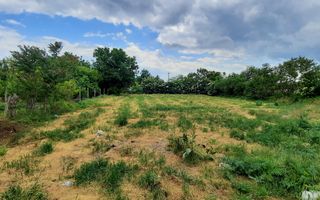 Teren intravilan oportunitate bună în Poarta Albă - Poză 1