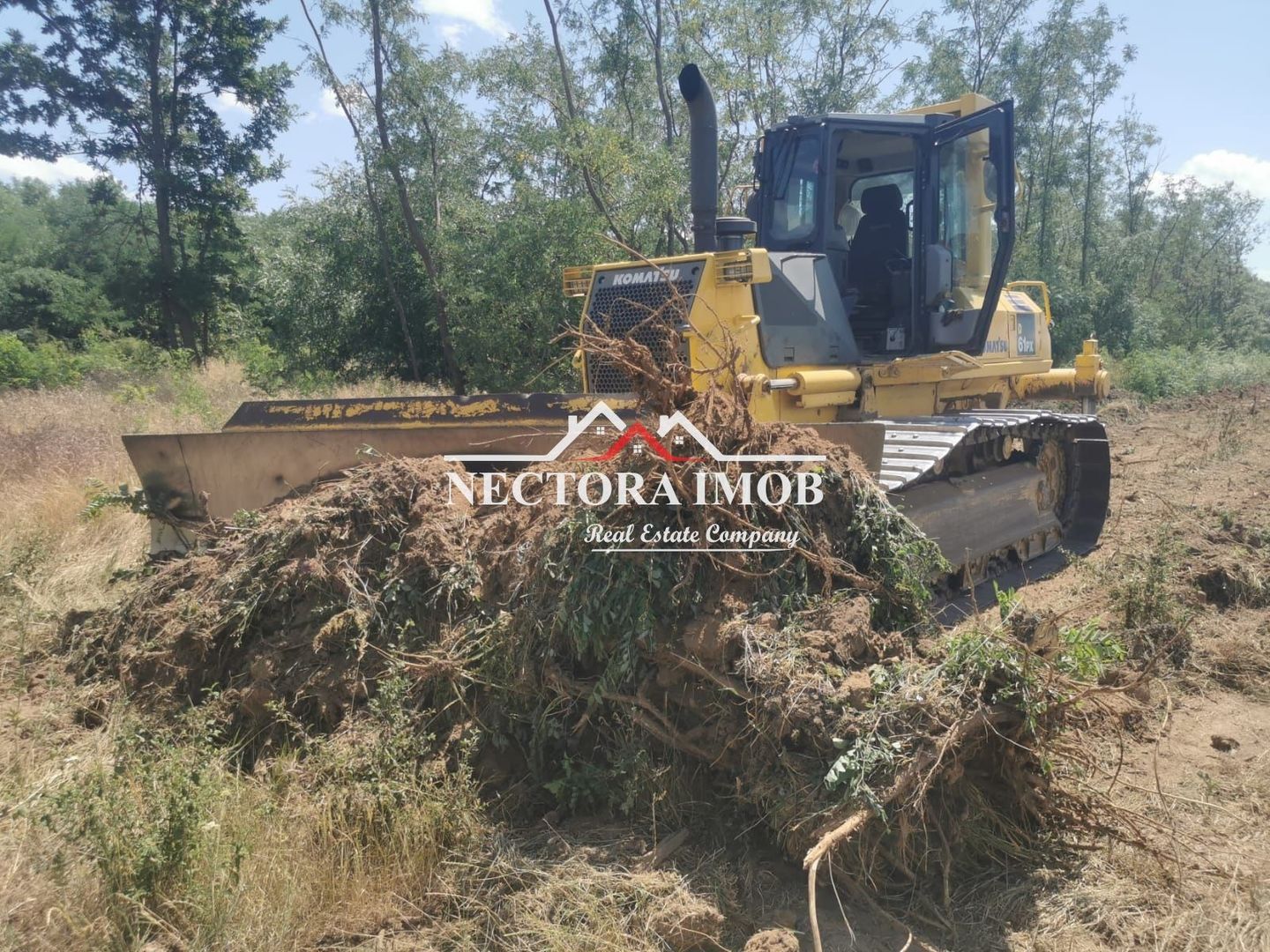 NECTORA IMOB-Loturi de teren 500 mp,Zona Saldabagiu de Munte-Lac Paleu - Poză 7