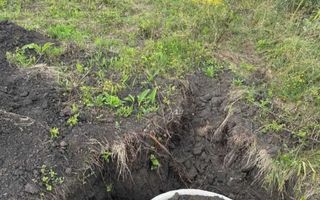 Teren intravilan de vânzare în Daia Nouă - Poză 5