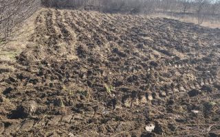 Teren intravilan Cuza Vodă, Popricani, Iași - Poză 1