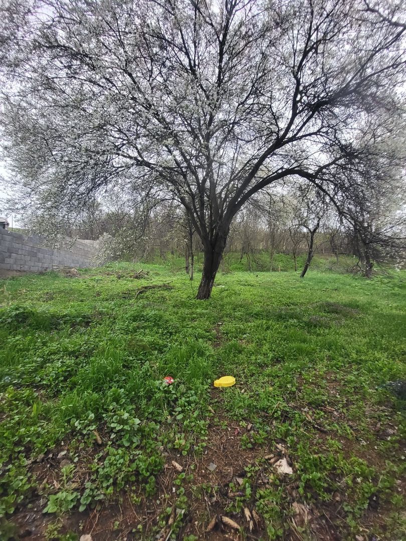 OPORTUNITATE!!! CASA DE VANZARE IN CÂLNIC LA 35.000 EURO - Poză 9