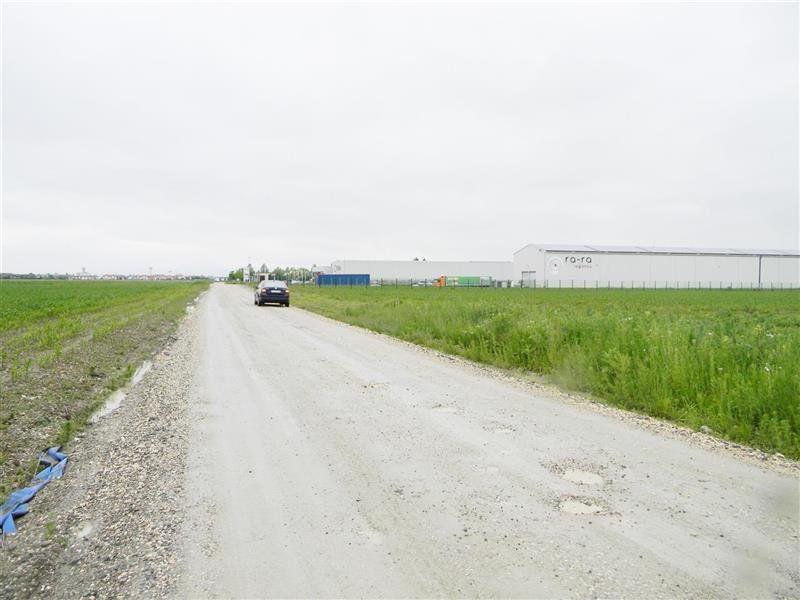 Teren pentru hale-Ghimbav-Joysonquin - Poză 9