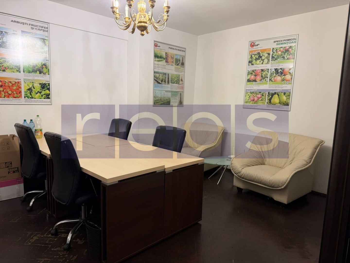 VANZARE APARTAMENT 3 CAMERE GRADINA ICOANEI | PARTER | 94MP | - Poză 2
