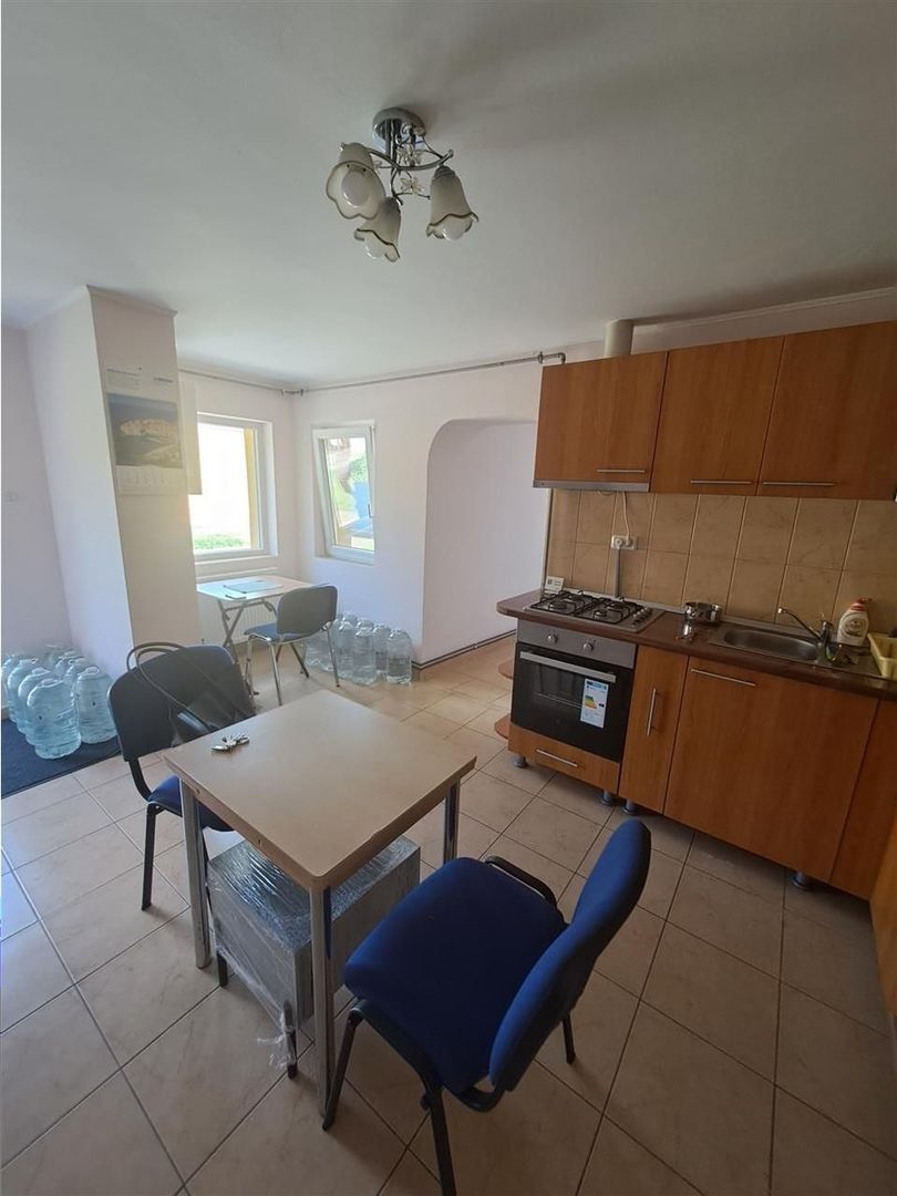 Casa individuala pe parter Sagului-Liviu Rebreanu - Poză 7