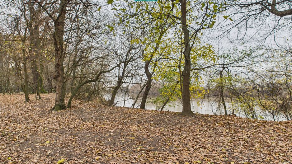 Teren pe malul Muresului- oportunitati multiple - Poză 25