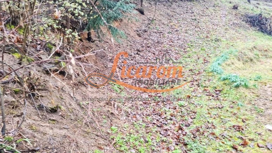 Teren intravilan1291 mp Schei Str Nisipului iesire la Drumul Poienii - Poză 6