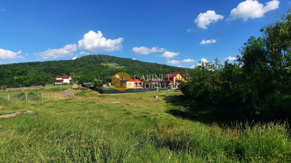 Casă / Vilă cu 2 camere de vânzare în Totoesti - Poză 2