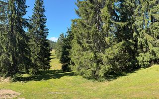 Teren intravilan 250 mp, Arieseni - Partie Ski - Poză 1