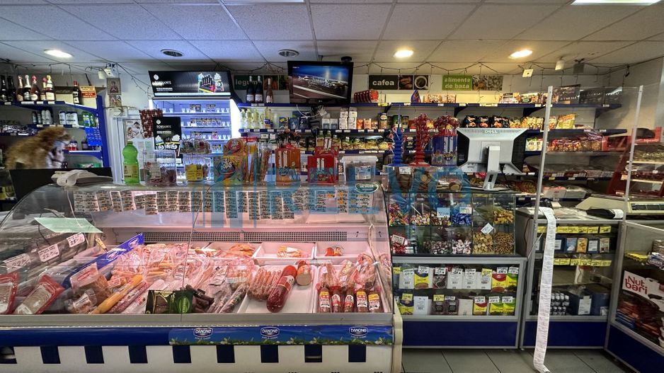 Spațiu comercial de 150 mp de închiriat, Miron Costin - Poză 4