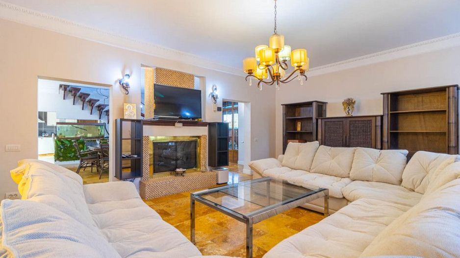 Casa din Natura Balotesti-6300 mp teren-Acces privat la lac si ponton propriu - Poză 3