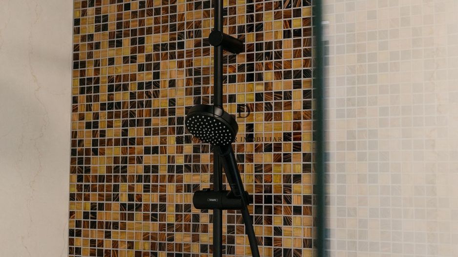 Chirie Duplex rafinat 4 camere- 3 bai -Garaj – cartier Buna ziua - Poză 9