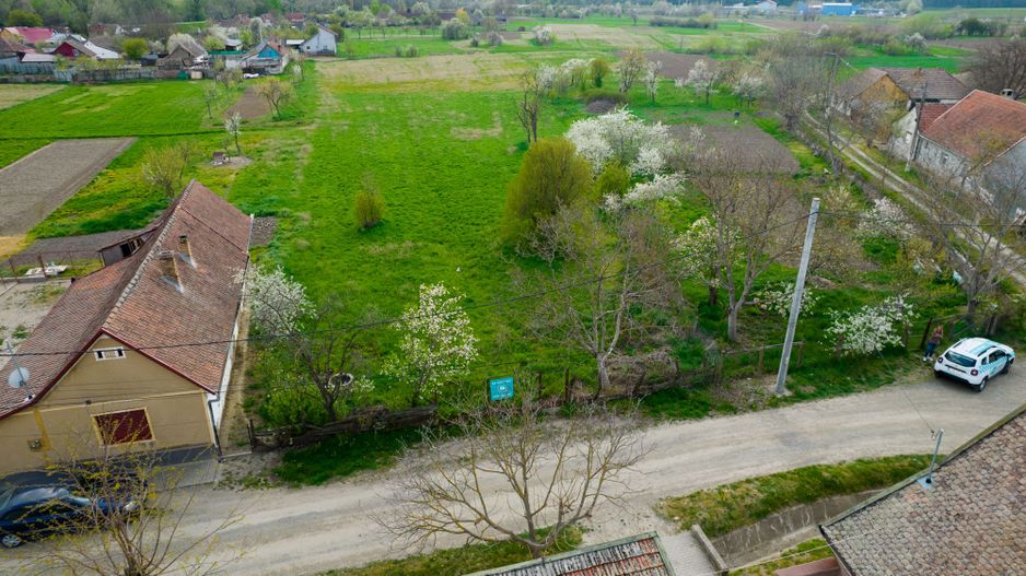 Teren extravilan 2571mp în localitatea Pecica - Poză 1