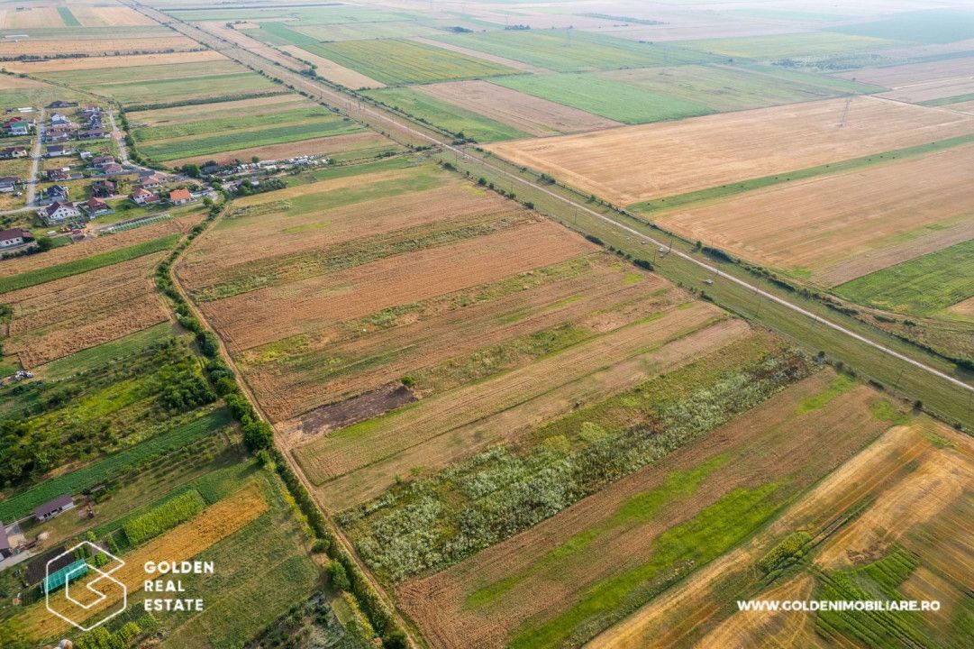 Teren intravilan 5000 mp, arabil in Sanleani - Poză 1