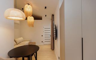 Vânzare, apartament la sol, 2 camere, str. Ion Doncev, Centru - Poză 10