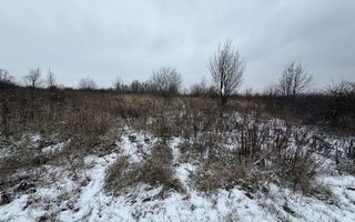 Teren 500 mp extravilan – Bucium, Iași | Cadastru propriu | 22.500€ - Poză 3