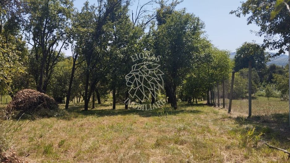 Teren intravilan 2828 mp+autorizatie casa-anexe-livada-Dorolea - Poză 1