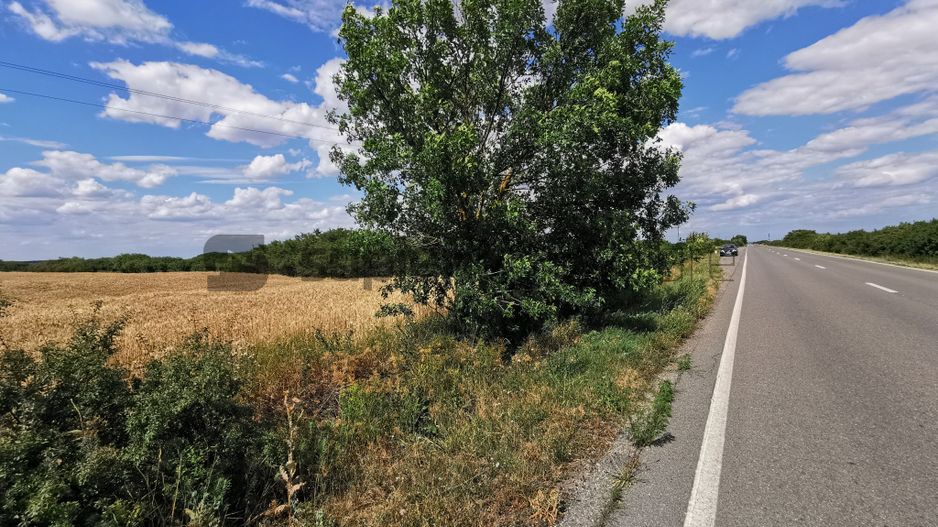 De vânzare teren extravilan, 11,600 mp, Salonta - Poză 5