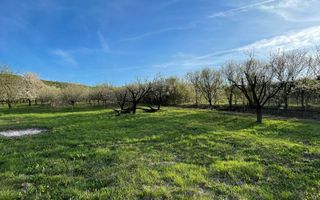 Tren Soporului Intravilan ,5500 MP Utilitati,  Oportunitate - Poză 1